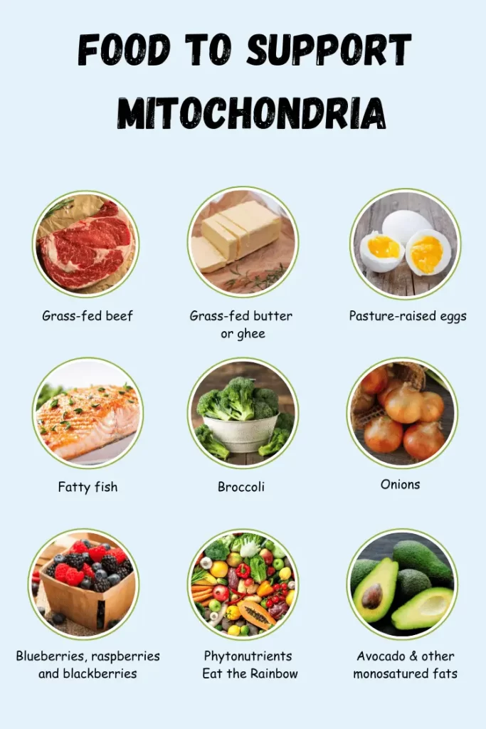 Grid of nine foods that support mitochondrial health: grass-fed beef, grass-fed butter or ghee, pasture-raised eggs, fatty fish, broccoli, onions, blueberries/raspberries/blackberries, colorful phytonutrient-rich produce, and avocados. Designed to promote optimal cellular energy and detoxification.