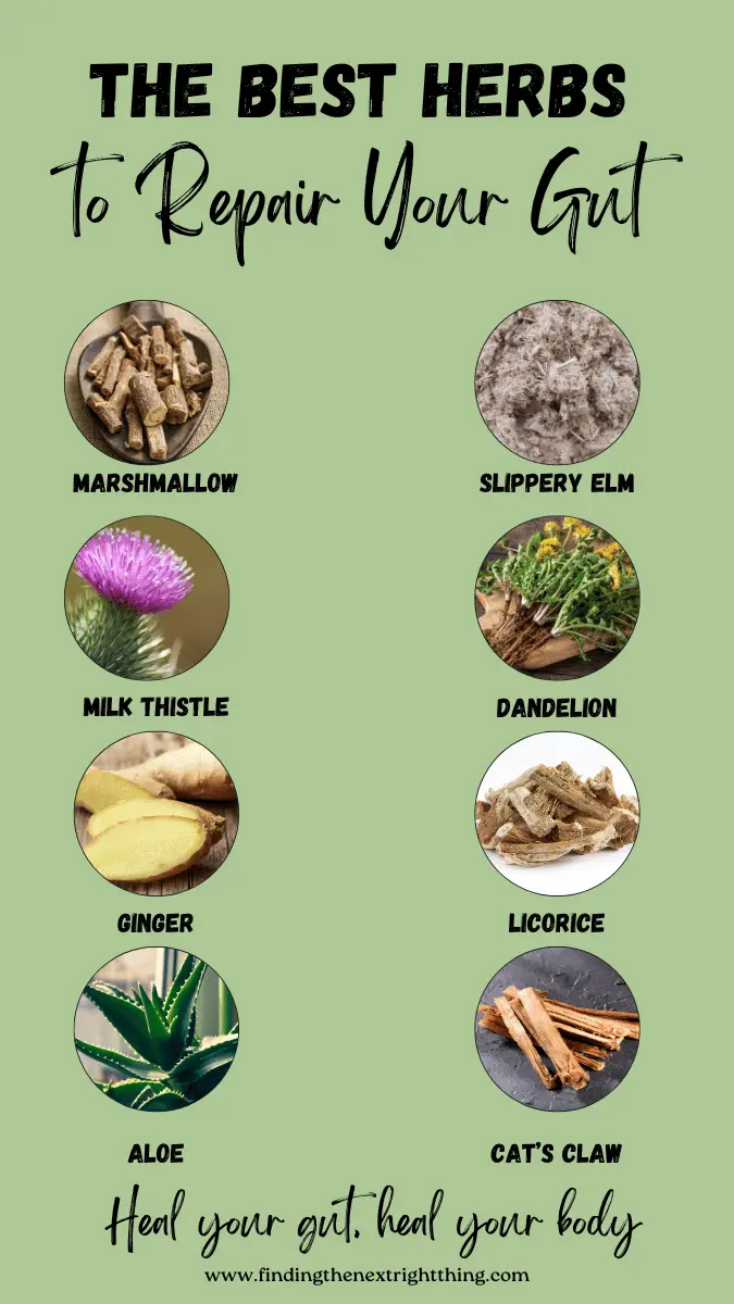 Graph of best herbs to heal leaky gut. Heal your gut, Heal your body