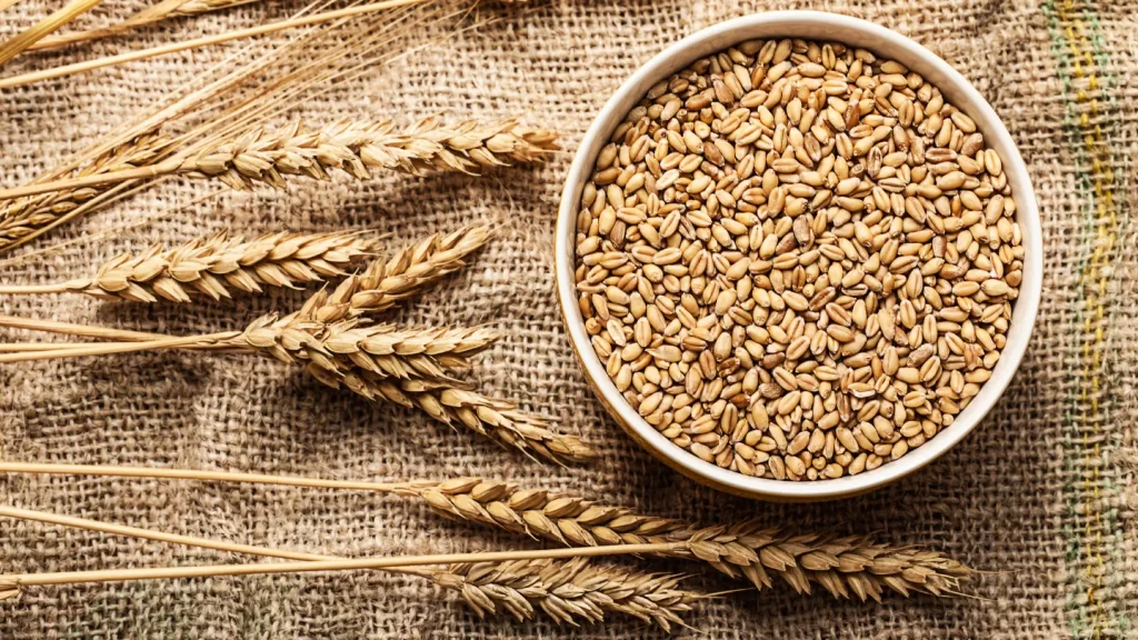 Graphic comparing ancient grains such as einkorn, emmer, and spelt with modern wheat. Highlights differences in gluten structure, digestibility, and glyphosate exposure—explaining why ancient grains may be easier on the gut and less inflammatory.