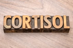 The word “Cortisol” spelled out in rustic wooden block letters on a neutral background, symbolizing the stress hormone's role in HPA axis function.
