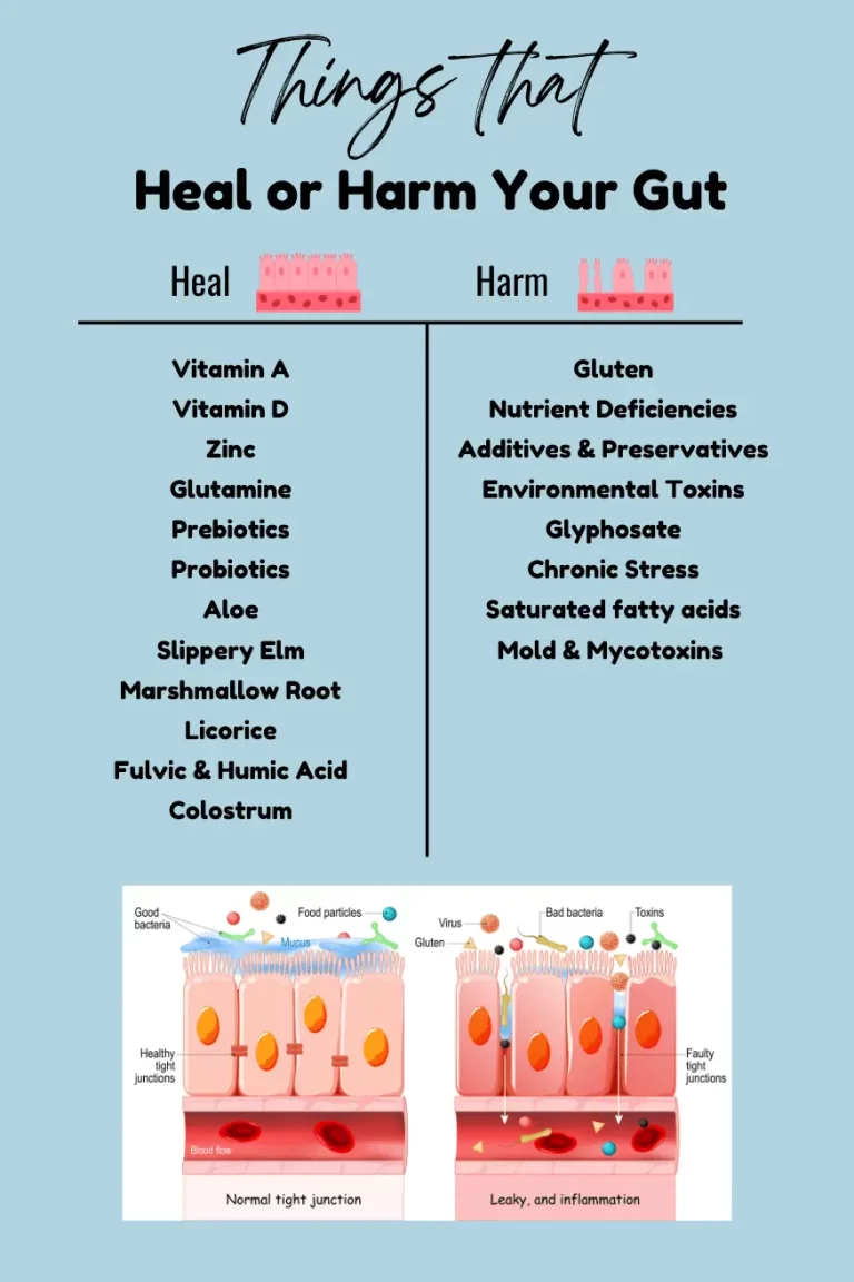 Side-by-side chart of nutrients and herbs that heal the gut and substances that harm it, with a comparison graphic of healthy vs. leaky gut lining below