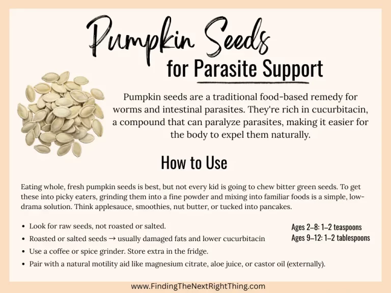 Infographic showing how to use pumpkin seeds for herbal remedies for parasites. Includes benefits, daily dosage, food ideas, and why raw, unsalted seeds are best for natural parasite support.