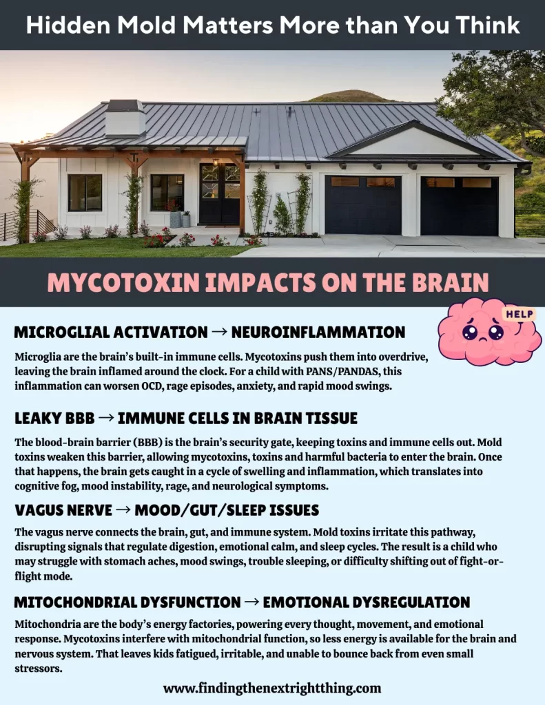 Infographic showing how mold mycotoxins impact the brain, including microglial activation causing neuroinflammation, leaky blood-brain barrier allowing immune cells into brain tissue, vagus nerve disruption affecting mood, gut, and sleep, and mitochondrial dysfunction leading to fatigue and emotional dysregulation.