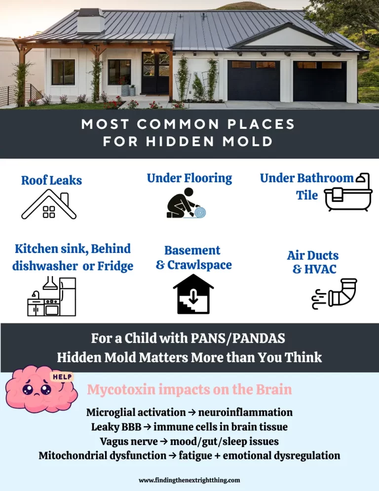 Infographic showing common hidden mold locations in a home, with notes on how mycotoxins impact the brain in PANS/PANDAS.