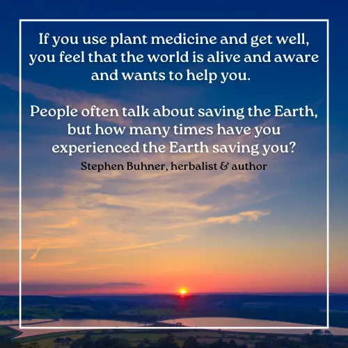 Quote by herbalist Stephen Buhner about the healing relationship between people and the Earth.