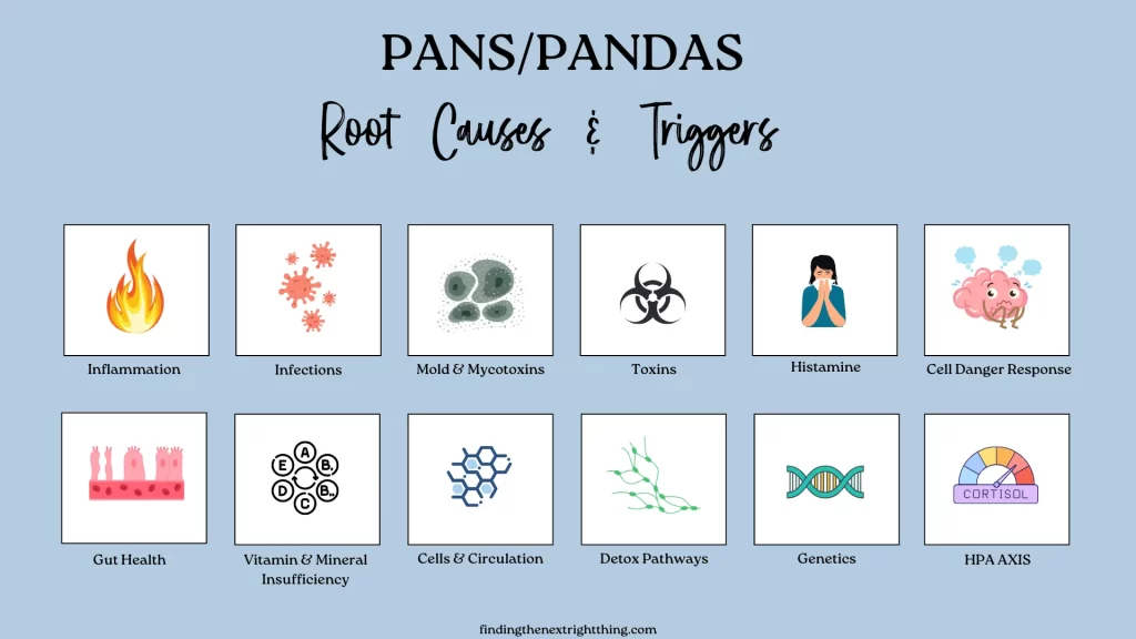 Graphic showing root causes and triggers of PANS and PANDAS including infections like strep throat, Lyme, mold, histamine, toxins, leaky gut, nutrient deficiencies, mitochondrial dysfunction, genetics, and HPA axis dysregulation.