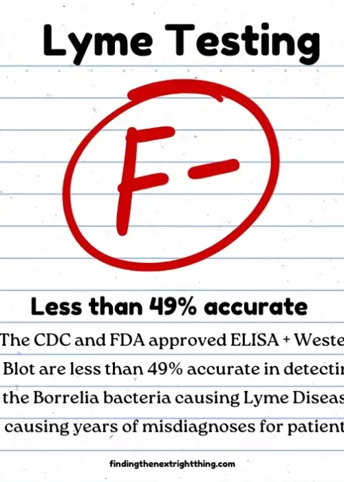 Lyme Testing