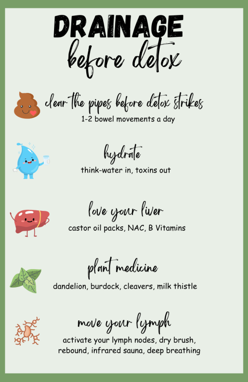 Drainage Before Detox | Functional and Herbal Detox Support Guide for PANDAS and PANS