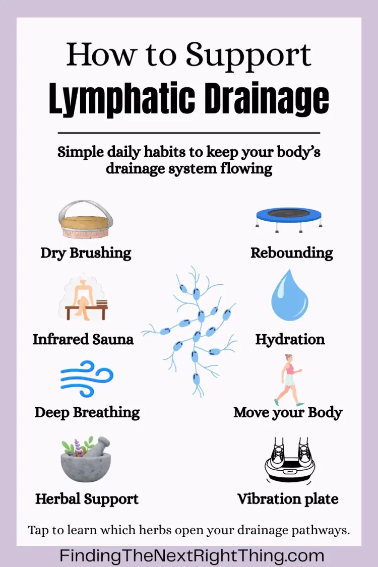An infographic Titled How to Support Lymphatic Drainage and icons representing various ways to stimulate the lymphatic system