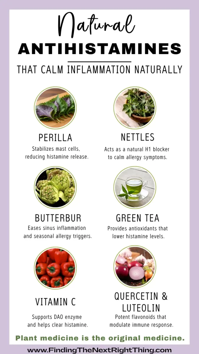 Infographic listing six natural antihistamines—Perilla, Nettles, Butterbur, Green Tea, Vitamin C, and Quercetin & Luteolin—each with descriptions of their anti-inflammatory and histamine-lowering effects.