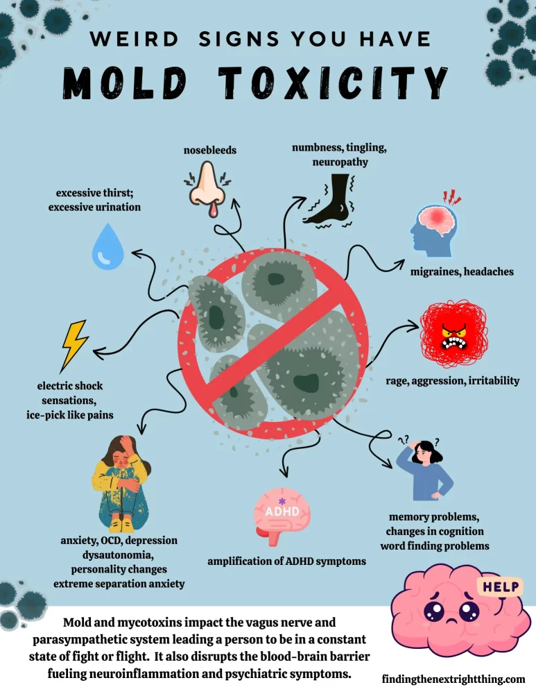 Graphic listing unusual symptoms of mold toxicity, such as nosebleeds, rage, and neuropathy, surrounding an image of mold. Learn how mold and mycotoxins trigger OCD, rage, anxiety, and chronic flares in children with PANS/PANDAS.